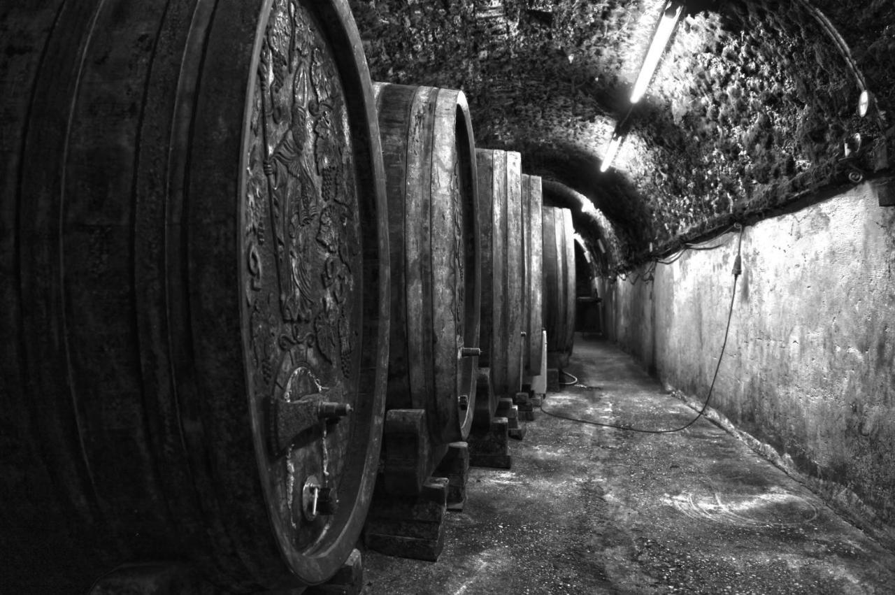 Ferienwohnung Am Weingut Eisenbock Strass  Екстер'єр фото